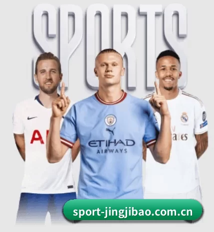 五个功能入口,赛程查询路径更短
